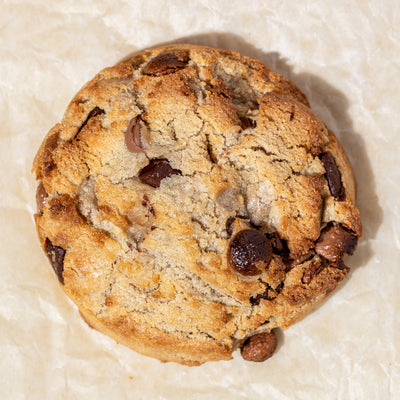 Chocolate Chip icon