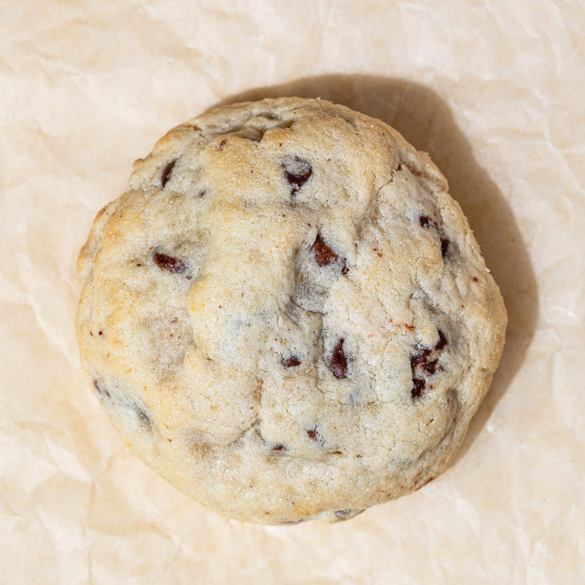 Fudge Stuffed Chocolate Chip